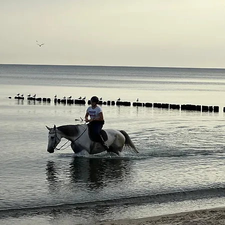 Baltyckie 9 Sarbinowo