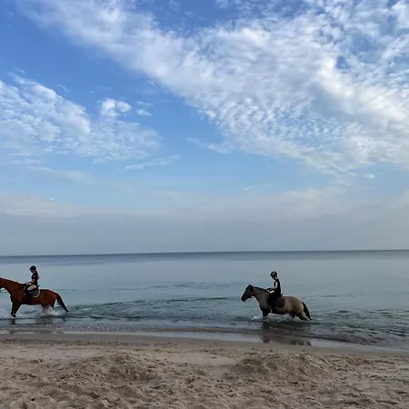 Baltyckie 9 Appartement *