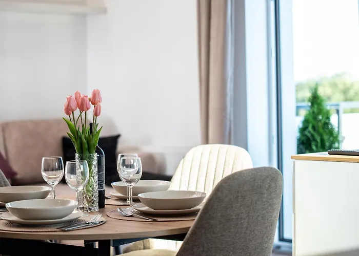 Baltyckie 9 公寓 萨比诺瓦