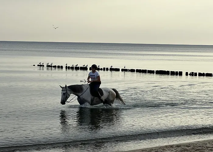 Baltyckie 9 Sarbinowo