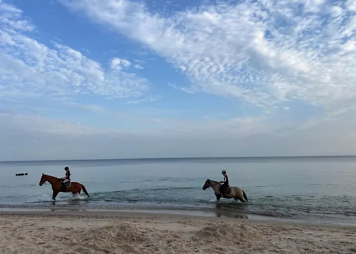 Baltyckie 9 公寓 *